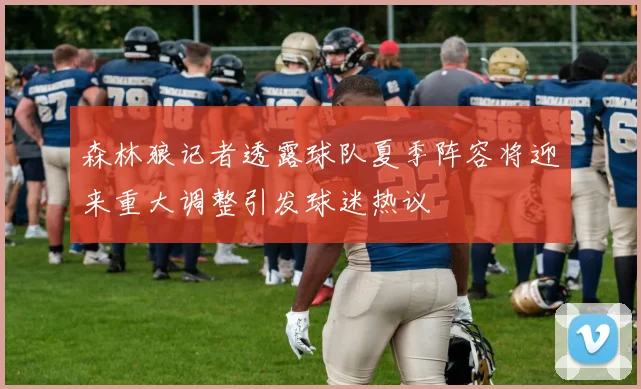 森林狼记者透露球队夏季阵容将迎来重大调整引发球迷热议